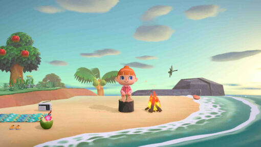 Animal Crossing New Horizons - Image 2