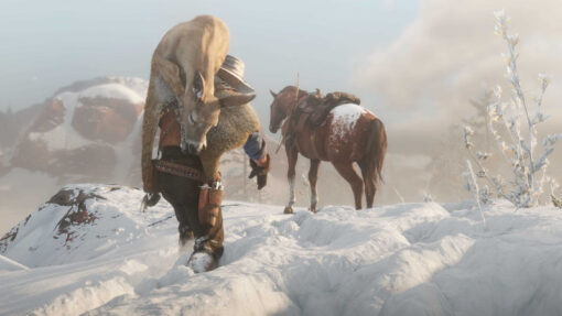 Red Redemption 2 - Image 4