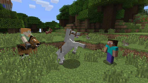 Minecraft - Image 4